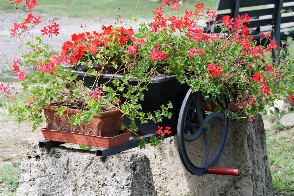 Agriturismo Due Ponti Chianni Bagian luar foto